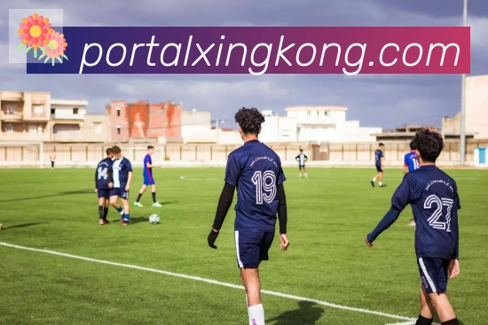 星空体育官网入口发展历程