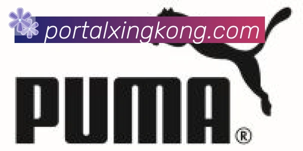 星空体育官网入口合作伙伴